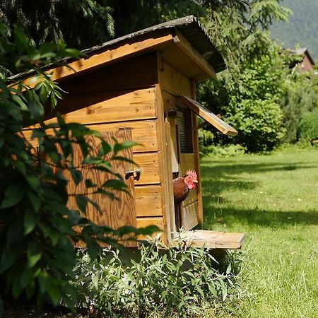 Beausite Apartments Interlaken Dış mekan fotoğraf
